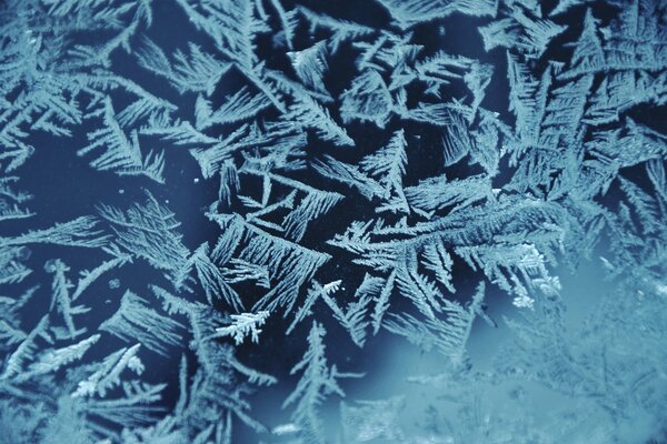 Frosty pattern on the window glass