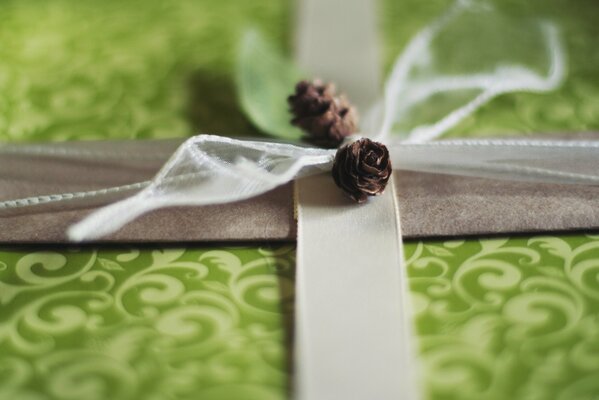 Makro-Geschenkbox in grüner Farbe mit weißen Monogrammen und grauem Satinband, verziert mit Zapfen und einer weißen, transparenten Schleife