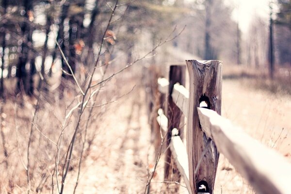 An old fence in a dry field