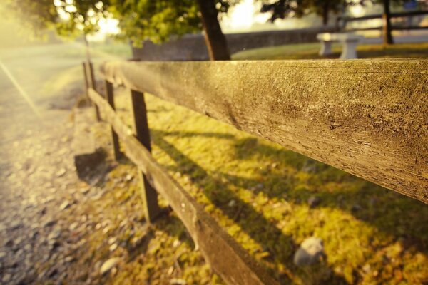 Fence Boards Stones Grass Sun Nature Landscape Summer