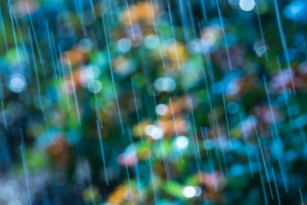 Pluie d automne, les champignons vont bientôt pousser