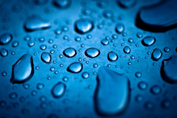 Water drops on a blue background