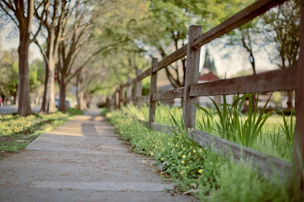 Trottoir mignon avec des arbres et une clôture