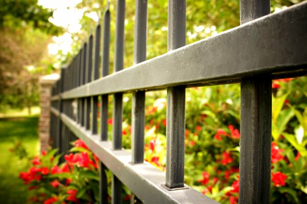 Macro photography of a fence with flowers