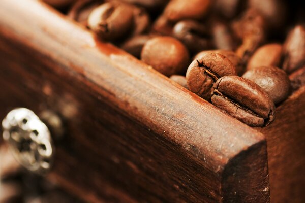 Macro photo of coffee beans