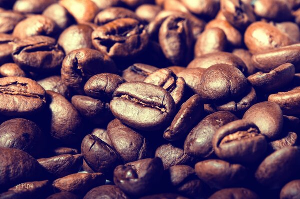 Macro shooting of a variety of coffee beans