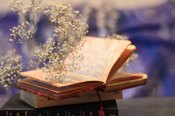 A book with a sprig of small white flowers