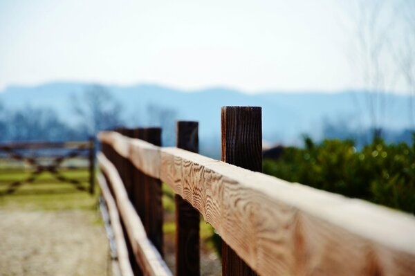 Wooden fence in the focus of attention