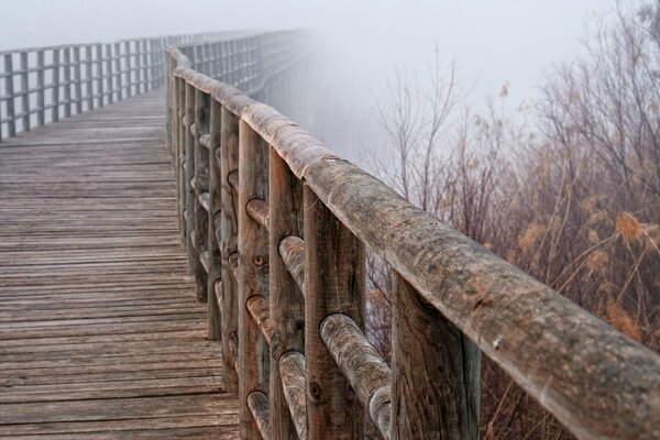 Holzbrücke, Handlauf Nebel Herbst Natur Landschaft