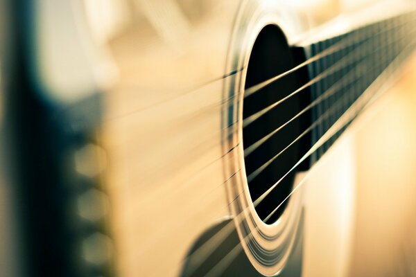 Guitare, cordes en pleine lumière