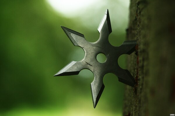 Metall-Shuriken im Baum