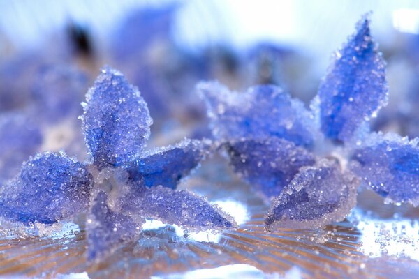 Eiskristalle auf blauen Farben