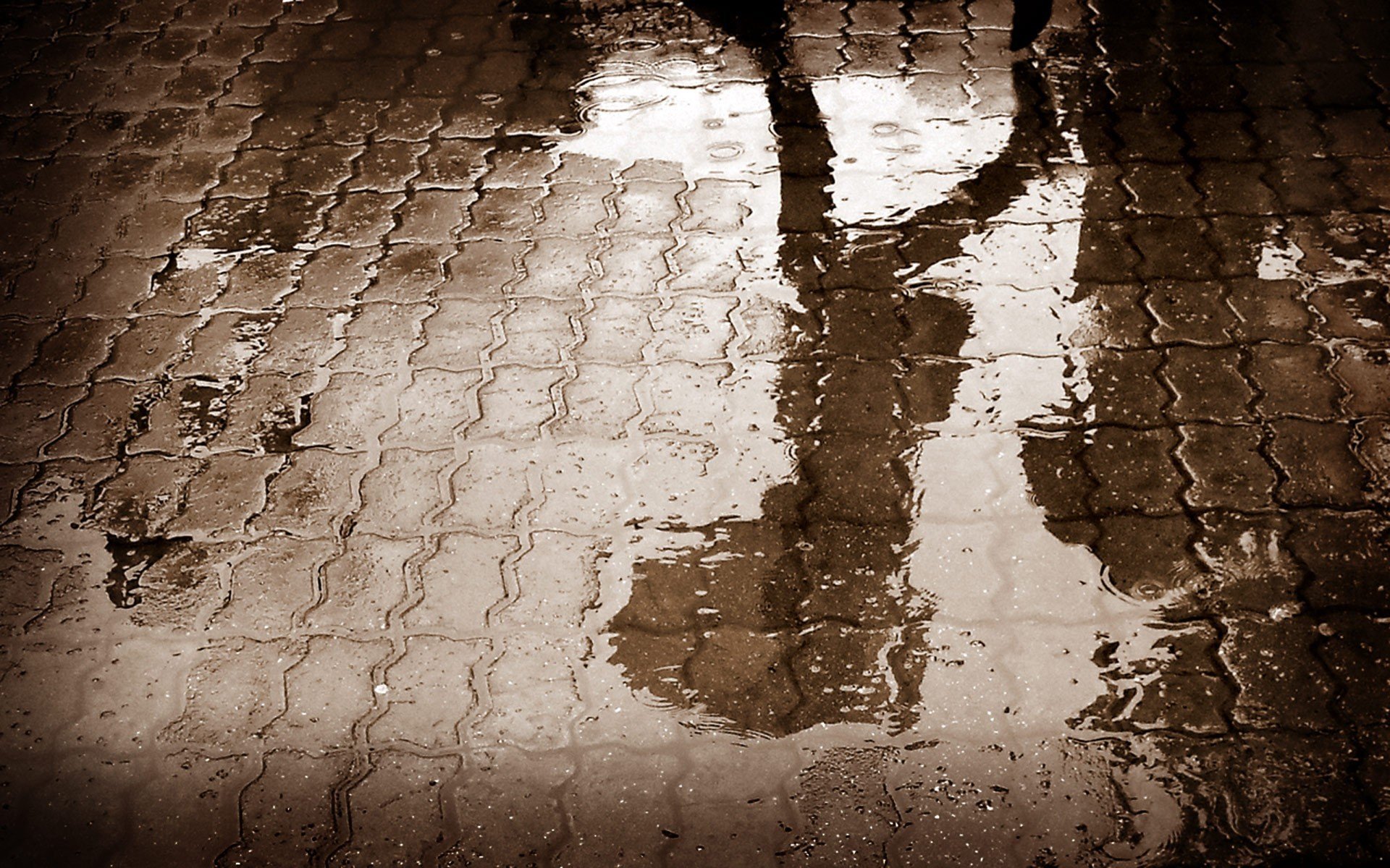 lluvia agua asfalto carretera reflexión sombra