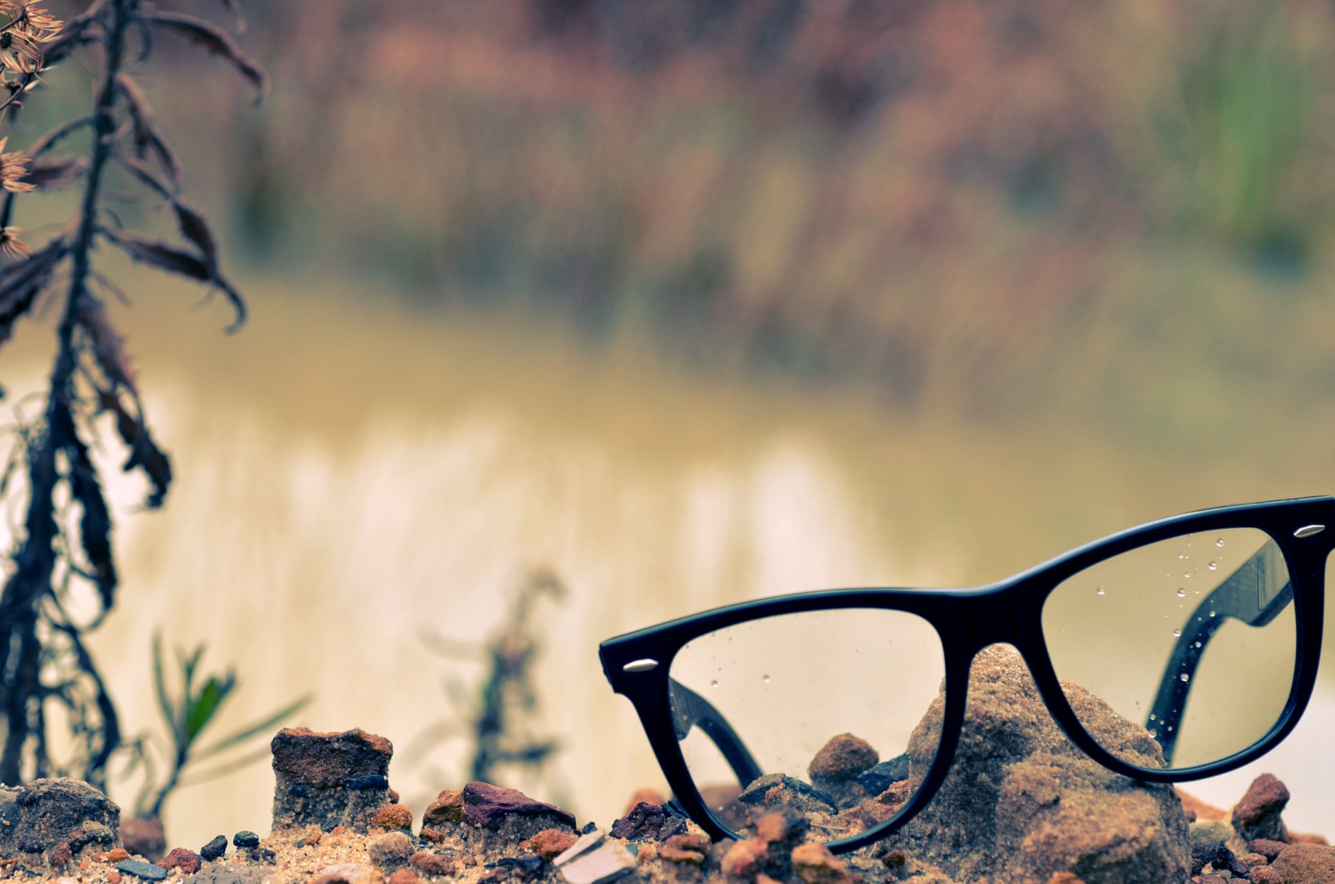 gafas lentes guijarros hierba rocío