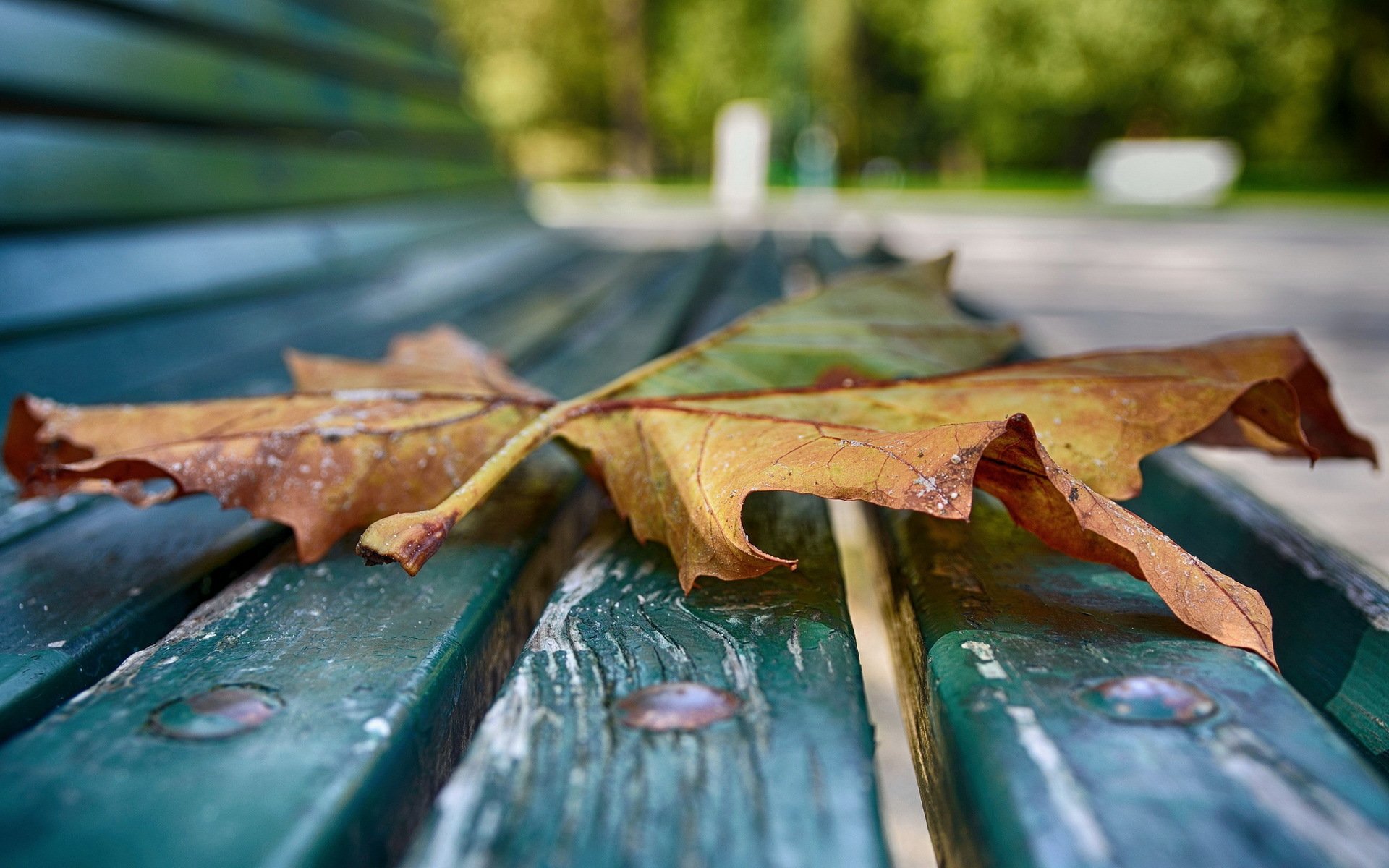 blatt bank makro herbst