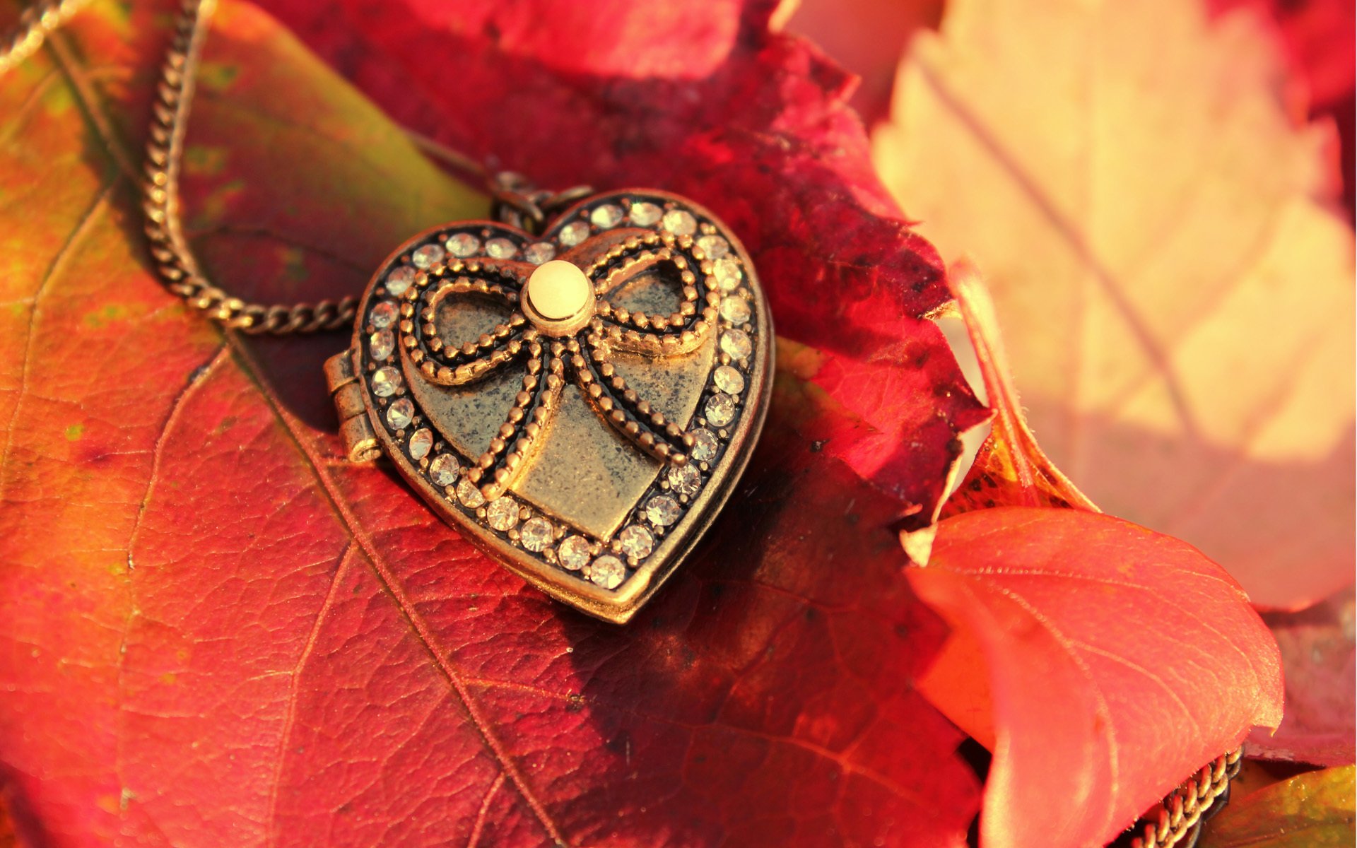 macro feuilles pendentif coeur coeur perle pendentif cristaux automne