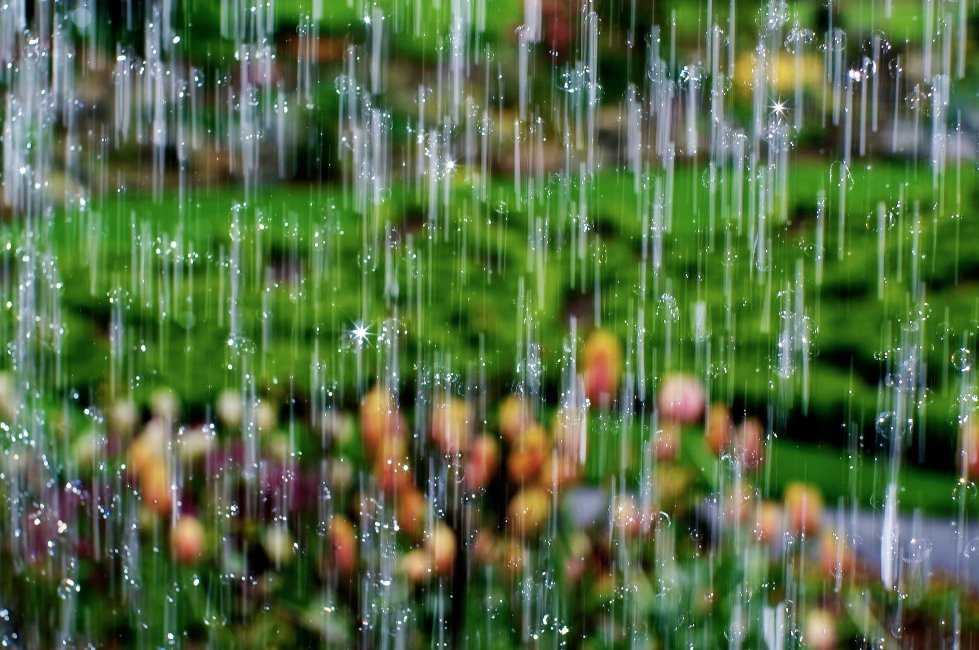 makro tropfen regen wasserfall