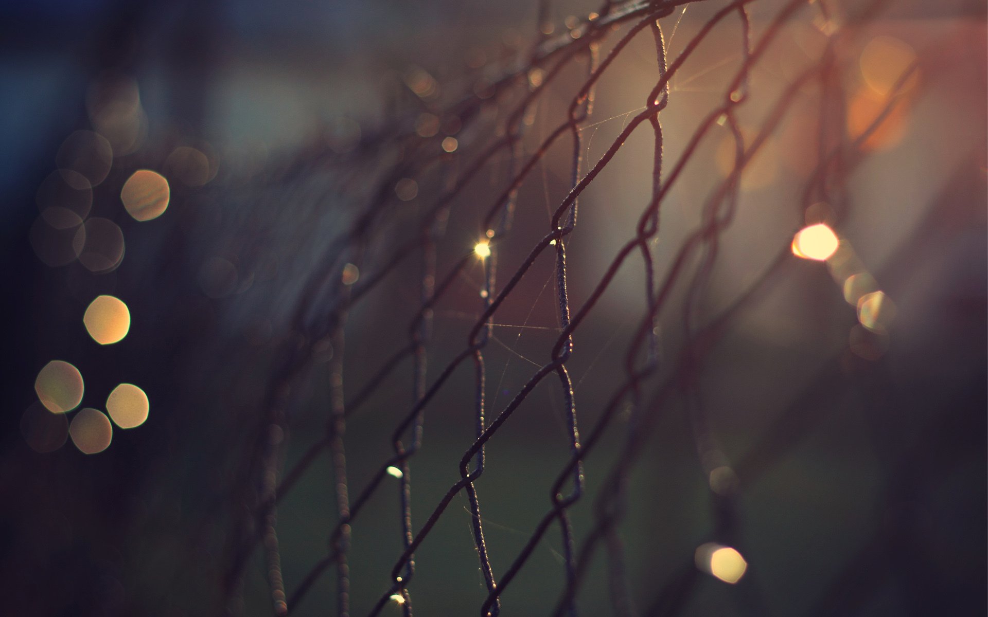 grille net fence metal close up night lights bokeh web