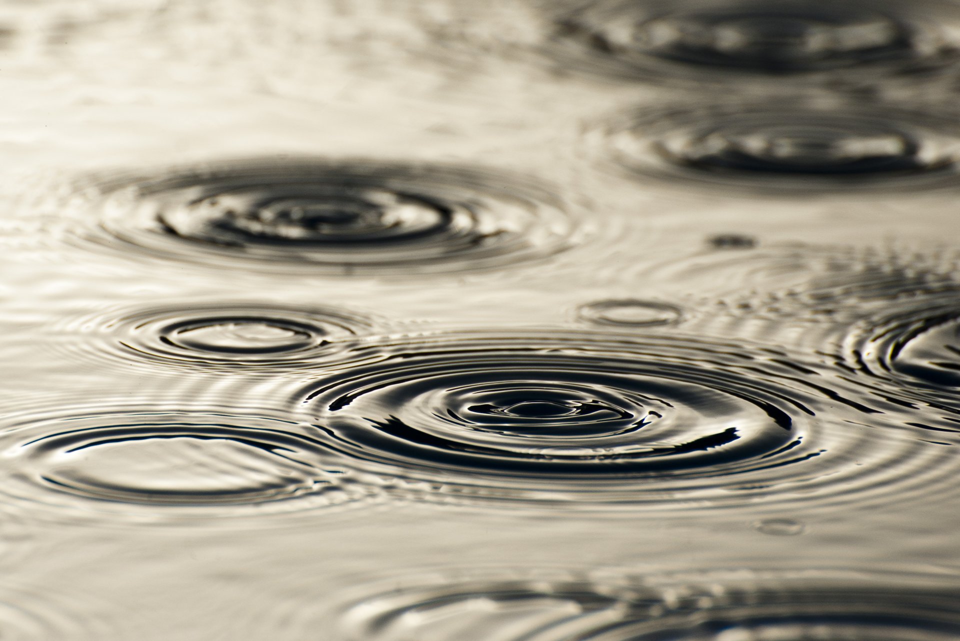 pluie eau gouttes cercles divorces