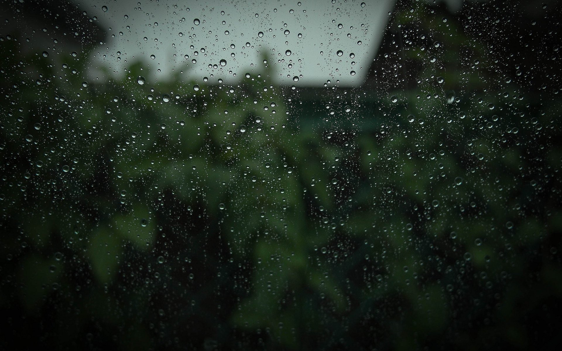 tropfen regen glas makro