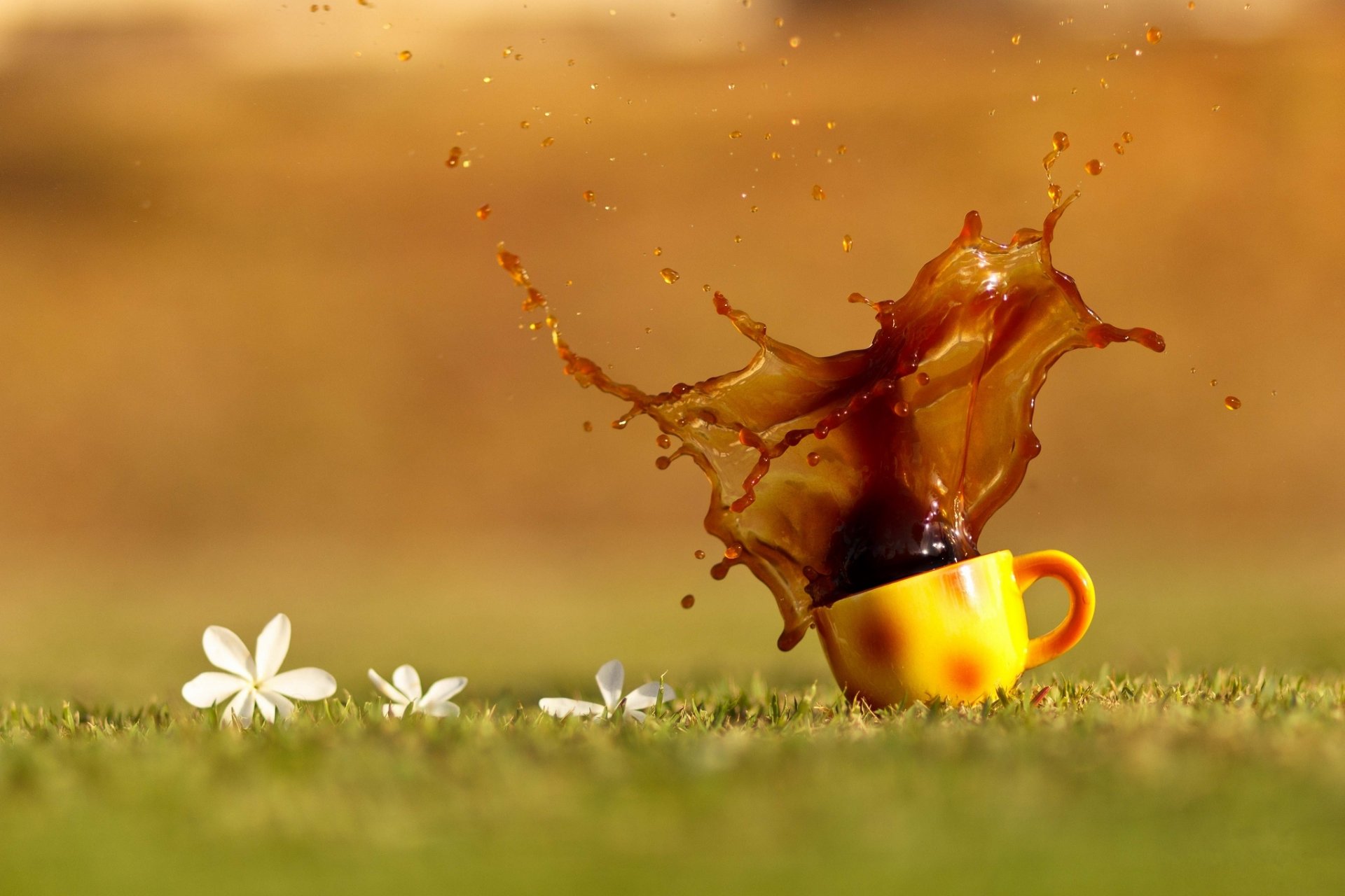 tazza arancione bevanda tè caffè spruzzo gocce erba fiori