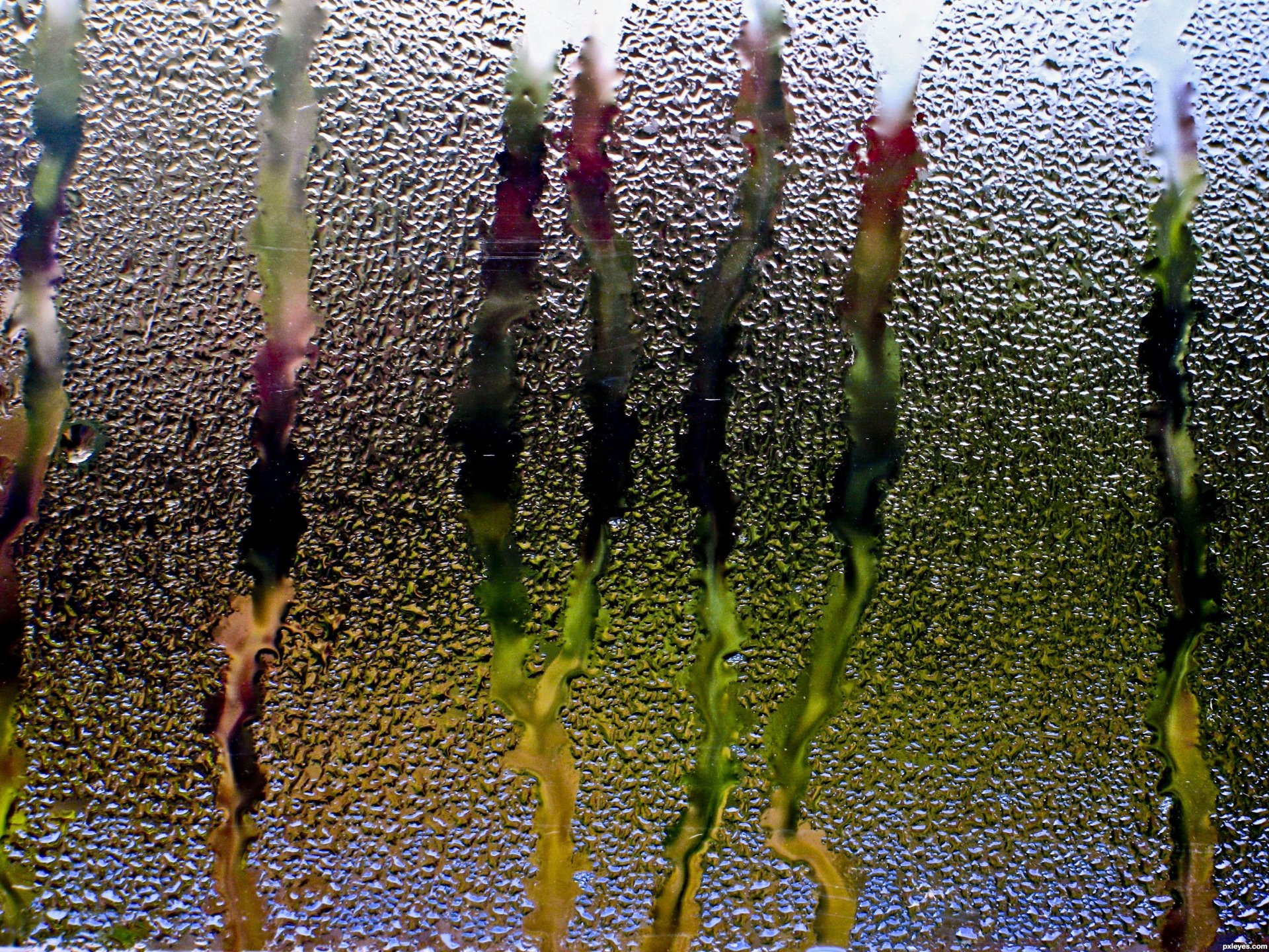 pluie verre fenêtre eau gouttes ruisseaux