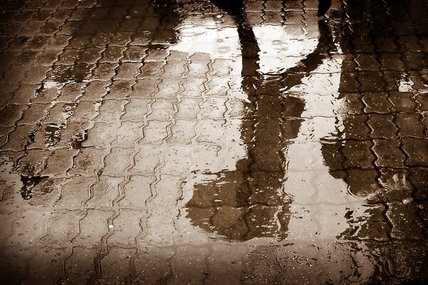 Acqua sulla strada. Riflessione di Siluet