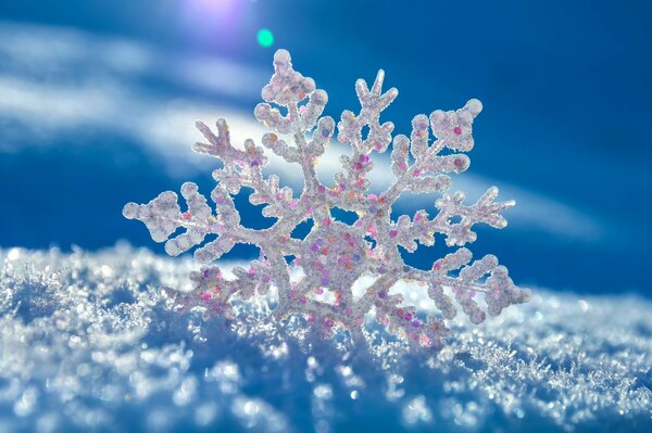 Flocon de neige se trouve sur la neige