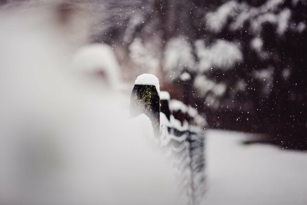 Foto de invierno con nieve