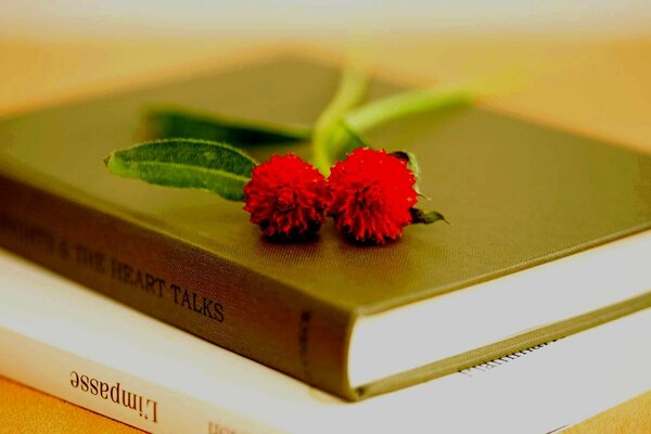 Two books and two red flowers lying on them