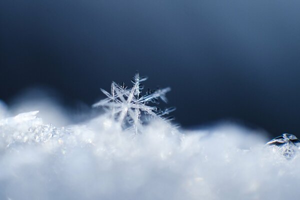 Macro de flocons de neige et de neige