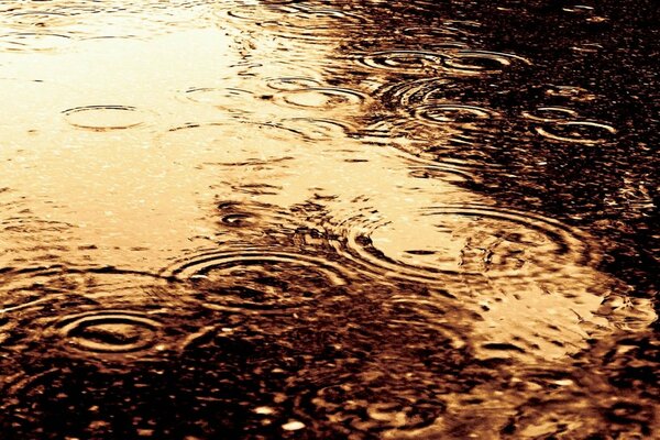 Círculos de gotas de lluvia