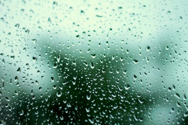 Water drops on the glass after rain