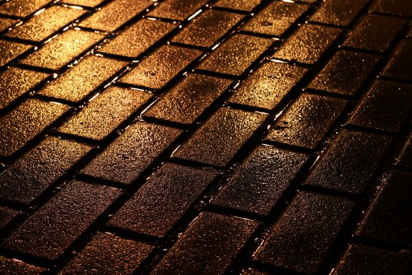 Wet paving stones after rain