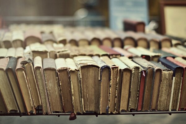 Old shelves with dusty books