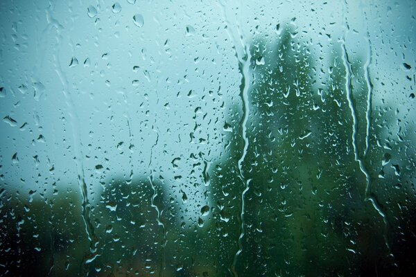 Raindrops on the glass