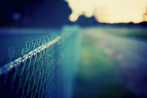 Macro photo of fence mesh