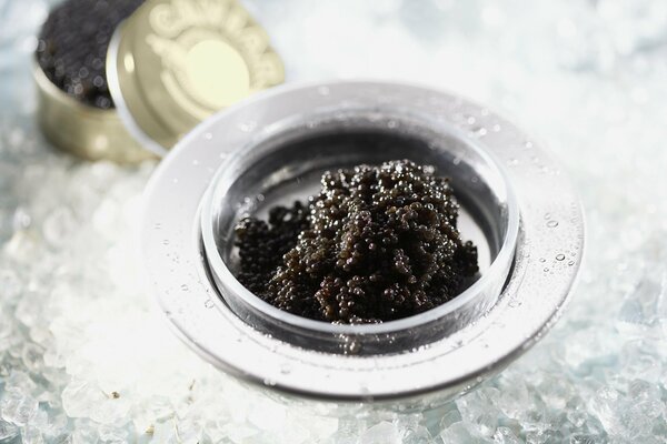 Caviar delicioso yum yum caviar negro