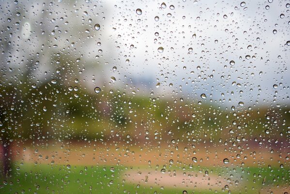 Raindrops on transparent glass