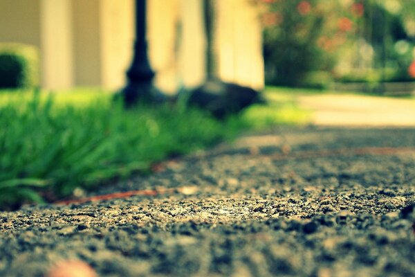 Fondo de pantalla de Prado verde con carretera asfaltada y piedras en macro