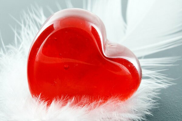 A red heart with white feathers