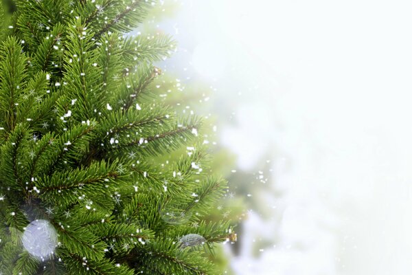 Winter, Weihnachtsbaum, Schnee - Weihnachtsstimmung