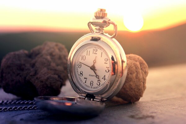 Pocket watch with dial and chain on the surface next to mushrooms truffles and the sun