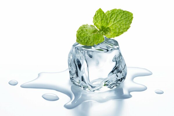 Ice cube with mint leaves