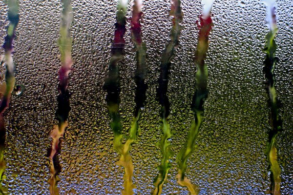 Raindrops run down the glass