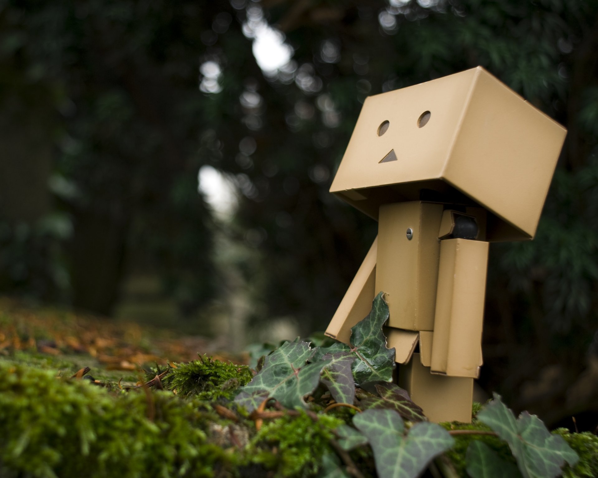 danbo muñeca bosque