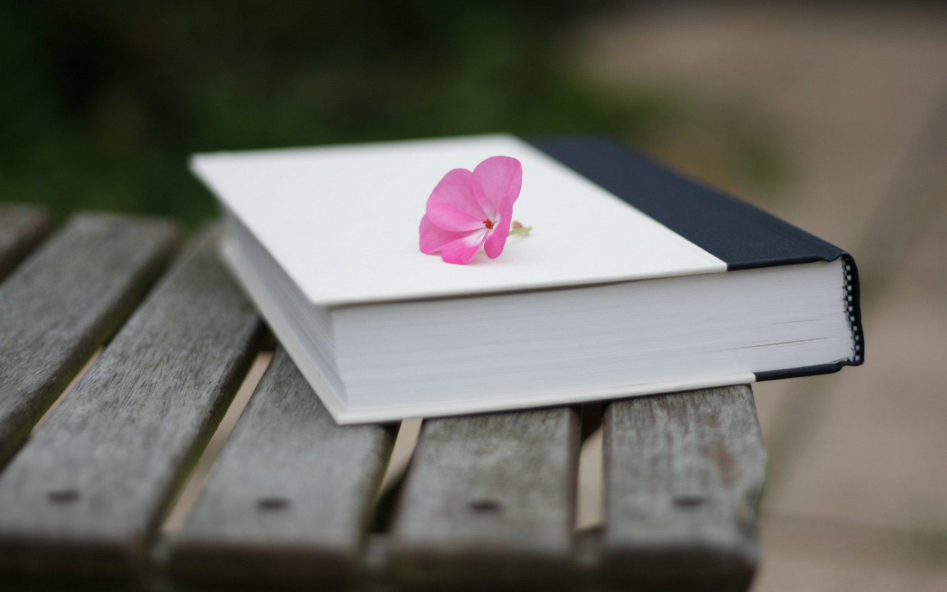 livre fleur gros plan