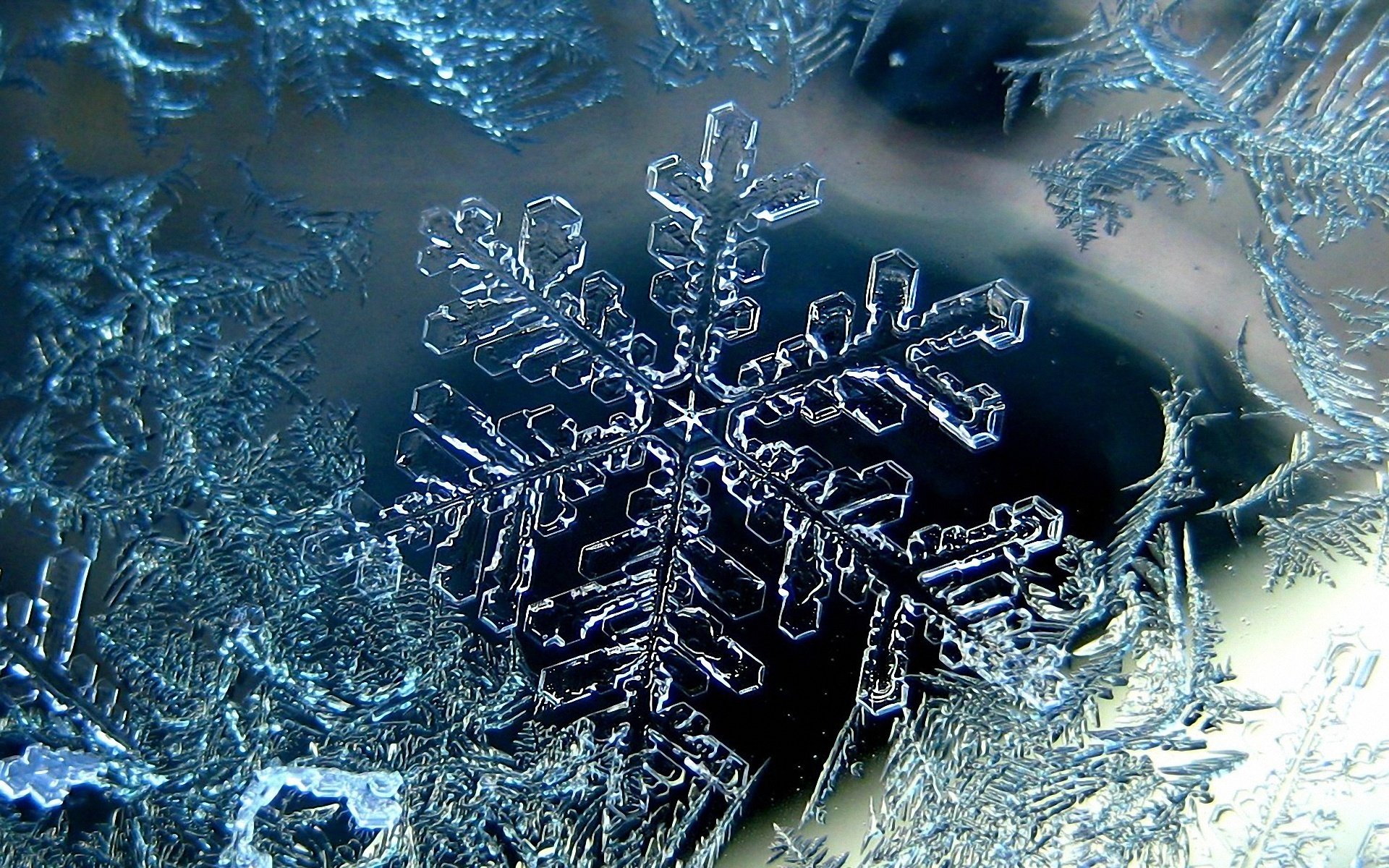 nieve copo de nieve escarcha frío invierno