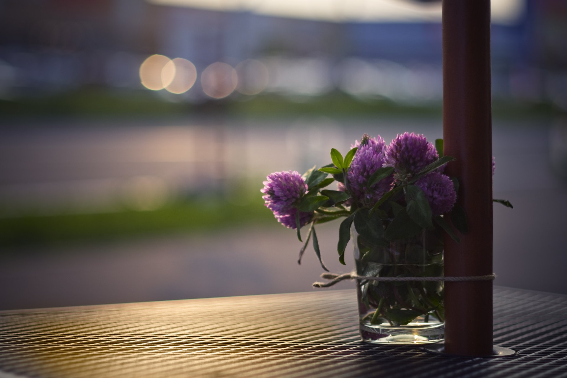 trèfle bouquet fleurs verre table rue lumière éblouissement gros plan