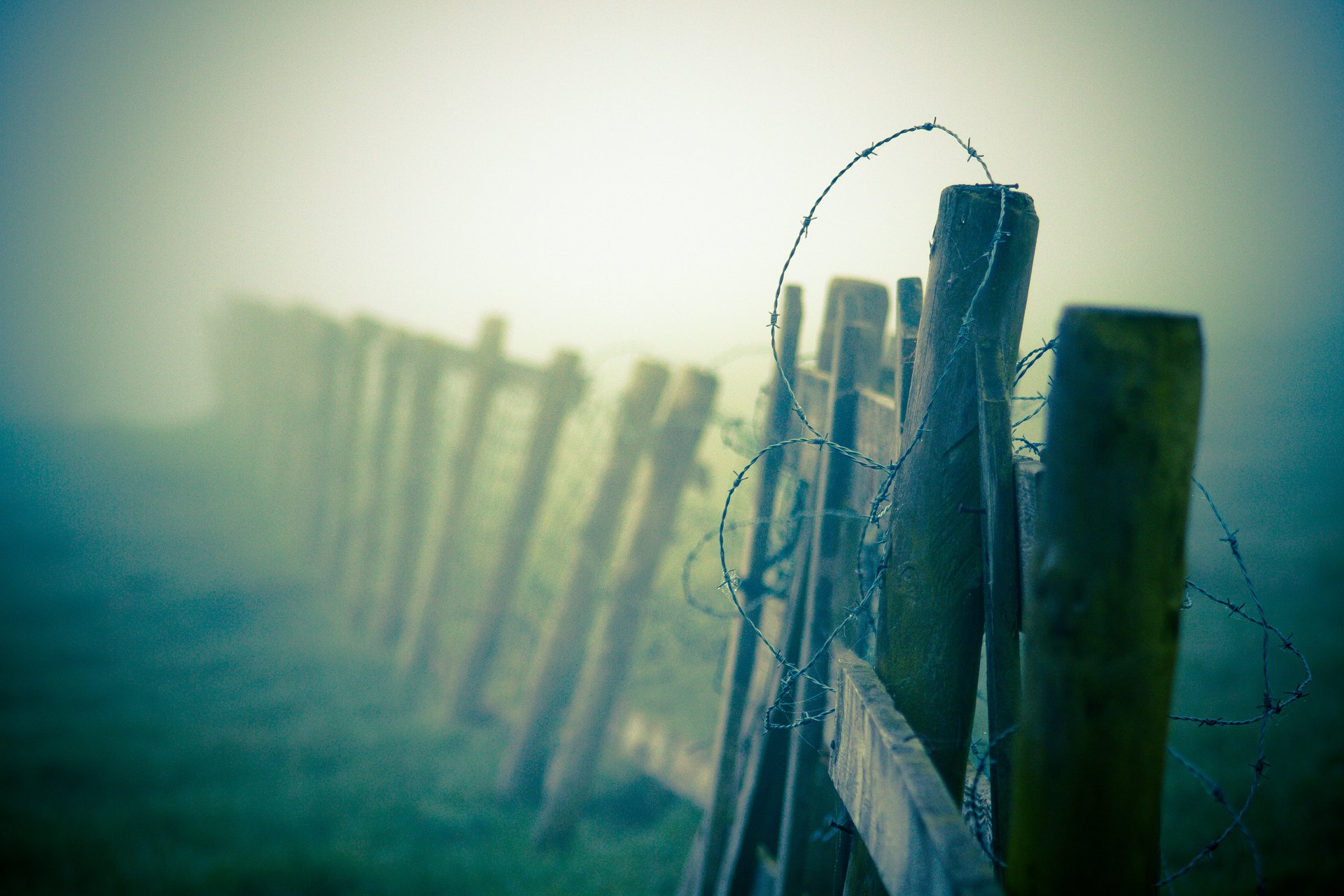 close up fence wire barbed fog haze